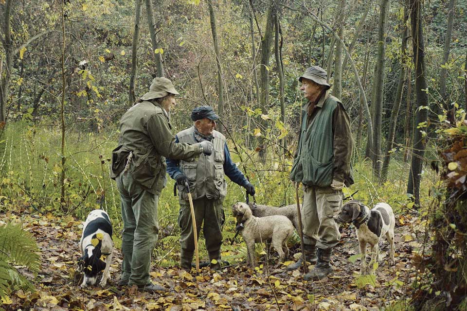 2 left fiona dog sergio cauda in the truffle hunters image by michael dweck and gregory kershaw courtesy sony picture - FACES.ch