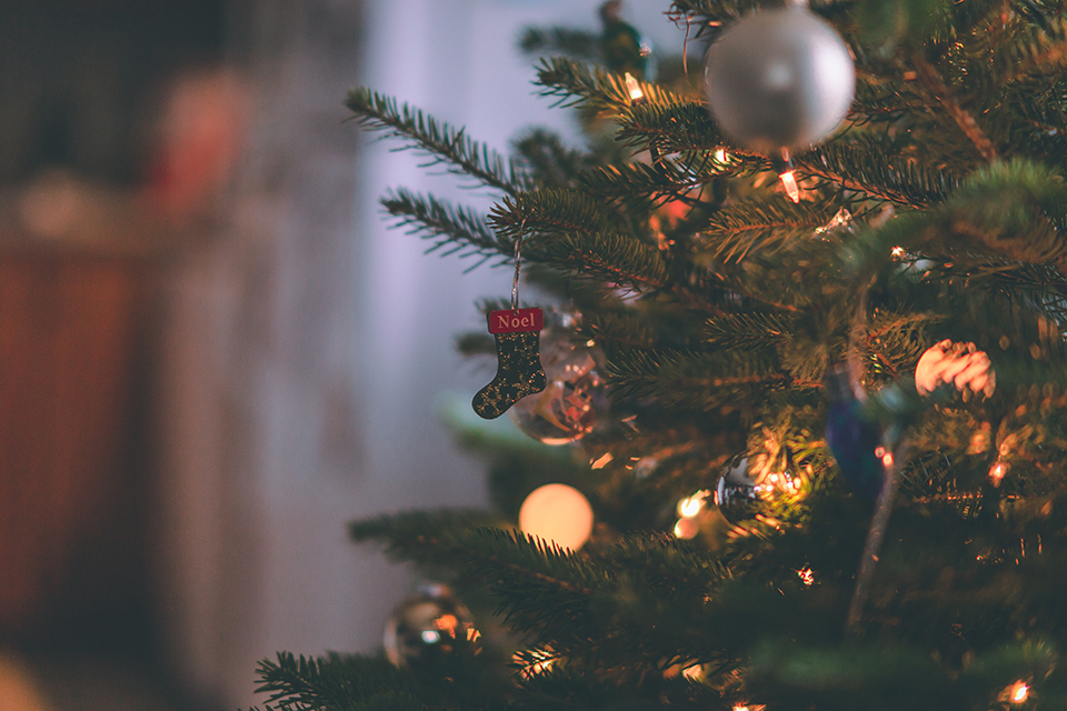 Climate-friendly festive season: sustainable Christmas trees