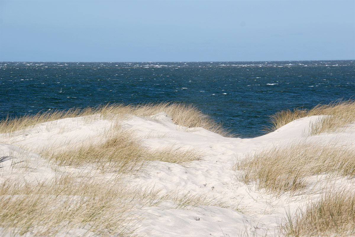 Sylter Ellenbogen beach in Sylt.