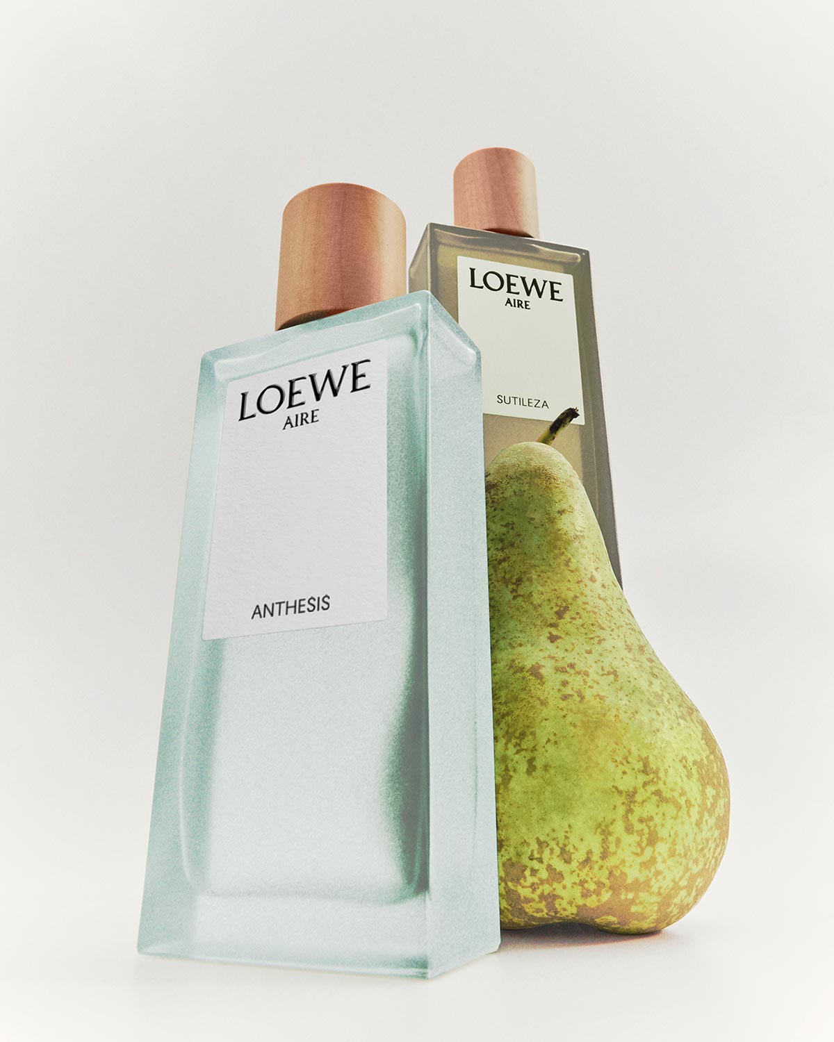 Loewe