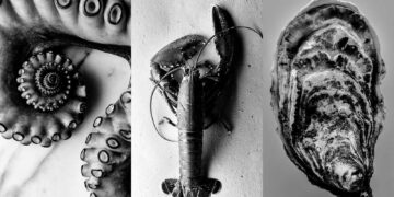 The Epicure serviert kulinarische Weltklasse Teaser