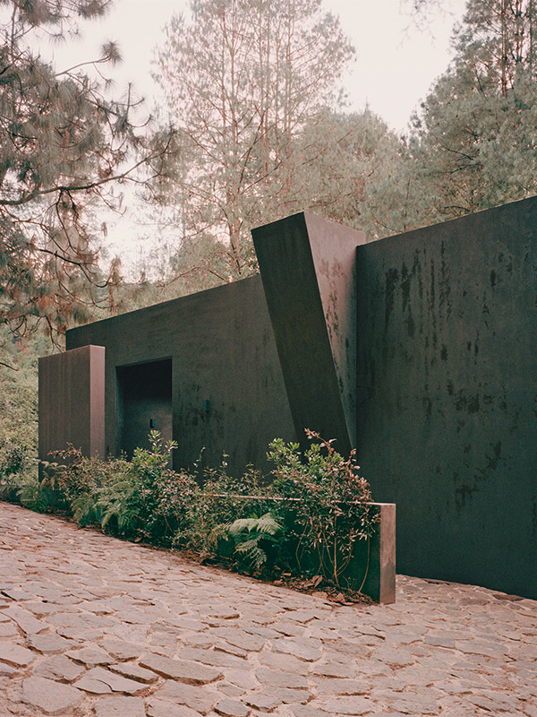 Green Alignment: In harmony with nature in Mexico