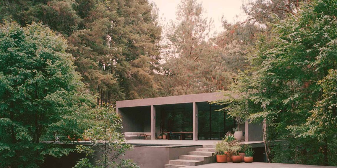 Green Alignment: In harmony with nature in Mexico