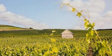 Cheers! Louis Roederer Celebrates 250 Years